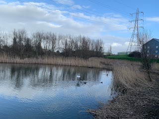 Mayflower Park Wetlands