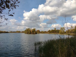 Шевченка (студентський)