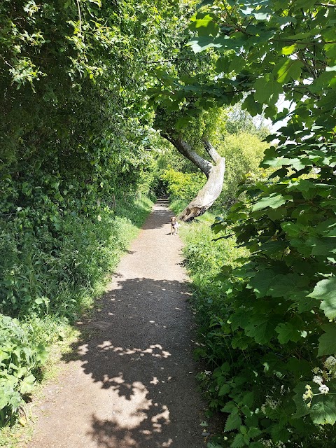 Gartmorn Dam Country Park