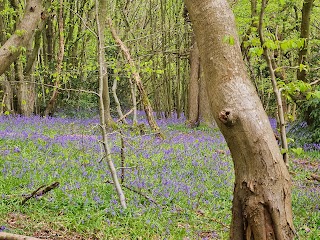 Trosley Country Park