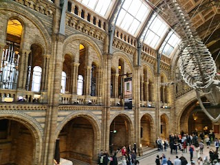 Natural History Museum