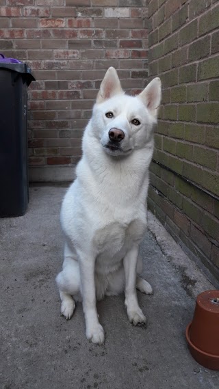 Hatton Boarding Kennels