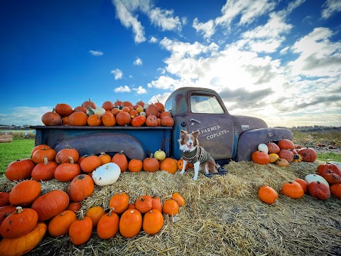 Farmer Copleys