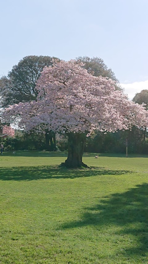 Stanley Park