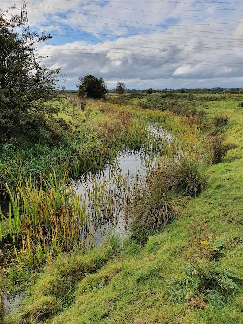 Gowy Meadows Nature Reserve