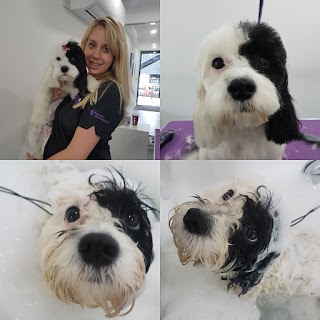 Stylish Hounds by Paige - Dog Groomers Loughton