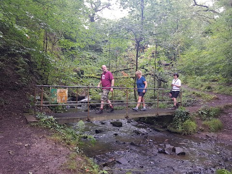 Longford Waterfall | Y Cwm