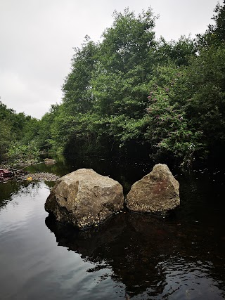 Kiltipper Woods Care Centre