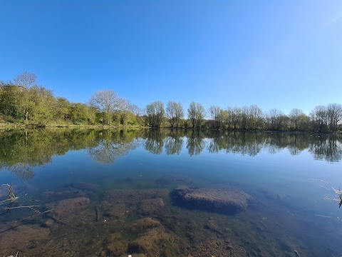 Holden Lane Pools