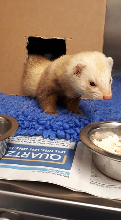 Ashfield House Veterinary Hospital, Long Eaton