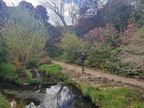 Lukesland Gardens and Tea Room