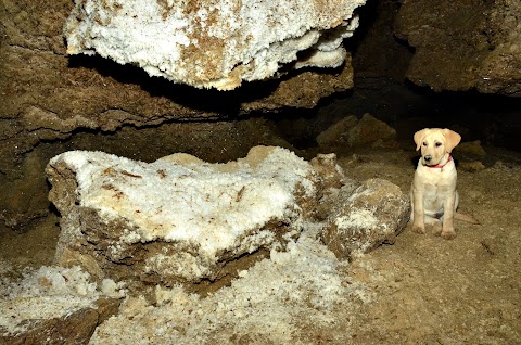 Optymistychna Cave Visit Center