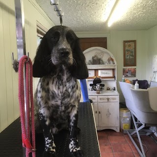 The Grooming Room