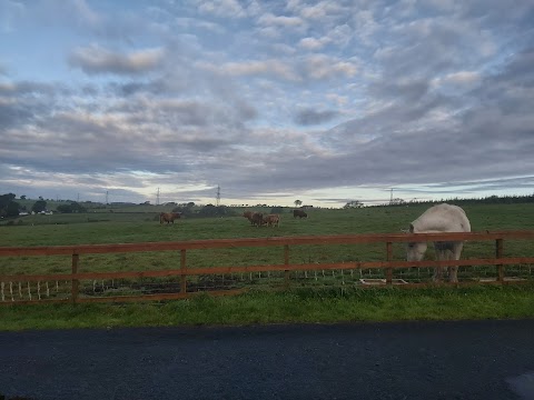 Old Barn Farm