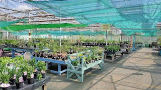 The Potting Shed Café, South Cave Plant Centre & Hectors Attic