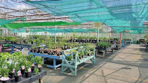 The Potting Shed Café, South Cave Plant Centre & Hectors Attic