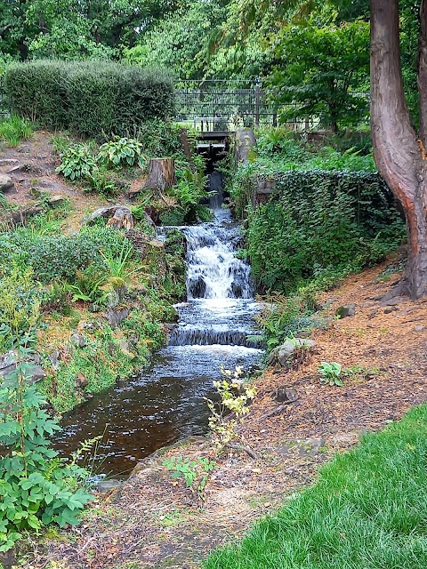 Dalmuir Public Park