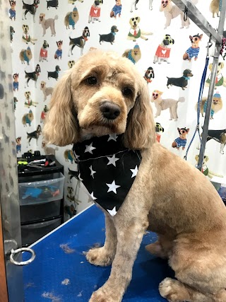 Ross's Rascals Dog Grooming