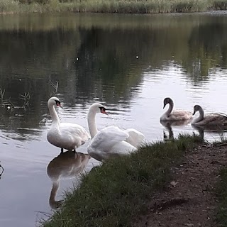 Irthlingborough Lakes And Meadows