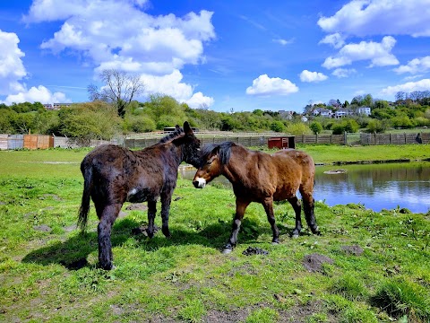 Brockswood Animal Sanctuary