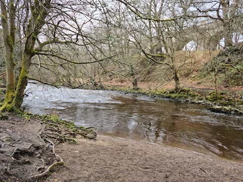 Muiravonside Country Park