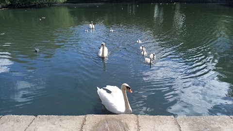 Pype Hayes Park