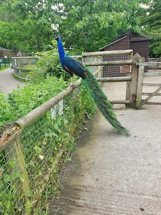 Walton Gardens and Hall Zoo