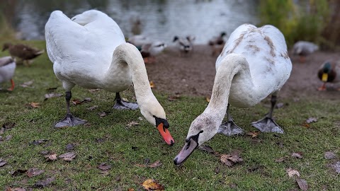 Wildlife Preservation Nature Reserve