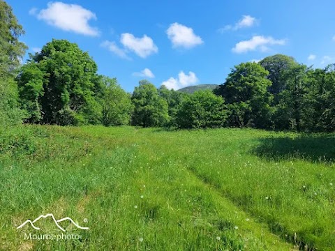 Mourne Park, Woodland Trust