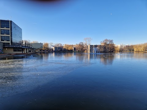 University of York