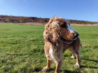 Muddy pups