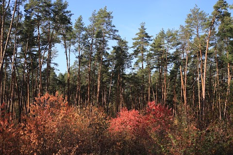 Коростишівський каньйон