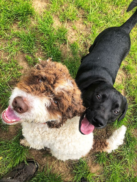 Happy Tails of East Lothian