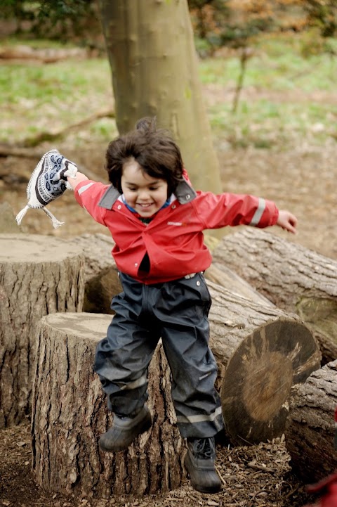 Woodland Outdoor Kindergartens