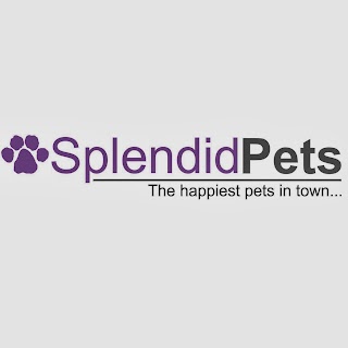 Splendid Pets Ltd