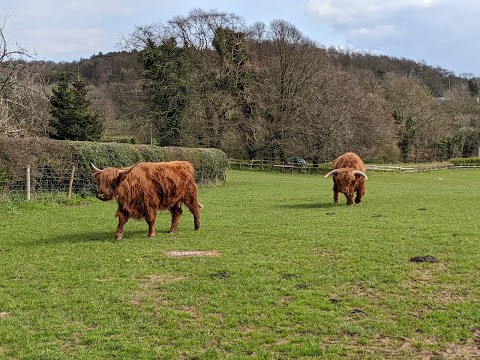 Lizzie's Farm