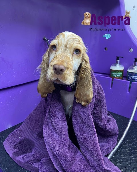 Aspera Professional Pet Services