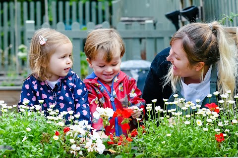 Toad Hall Nursery