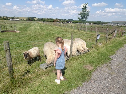 Hogshaw Farm & Wildlife Park