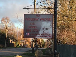 The Miaow Motel