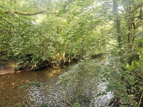 Notter Mill Country Park