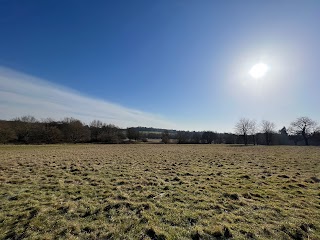 South Weald Deer Enclosure