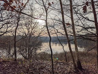 Sparham Pools