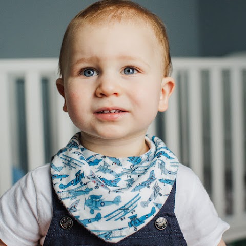 Dribblebuster Baby Bibs