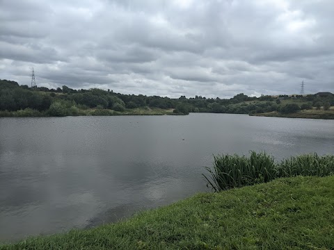 Buckpool and Fens Pool Local Nature Reserve