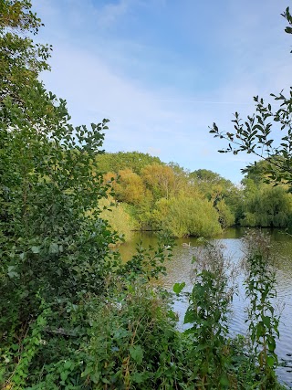 The Wilderness (Ger-Y-Llyn Pond)