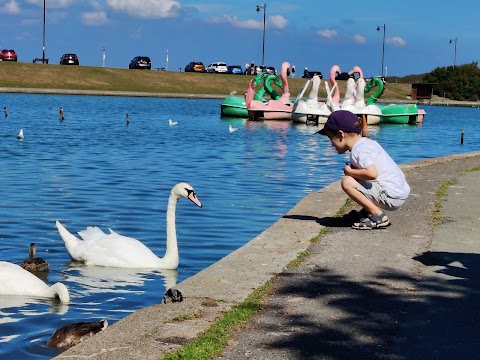 Lake Grounds