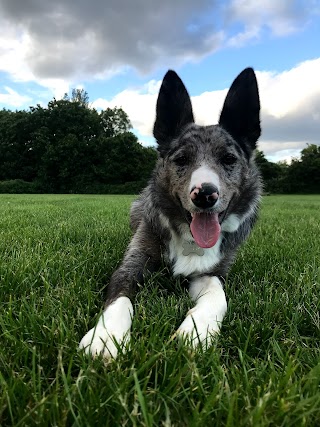 Shanganagh Dog Park