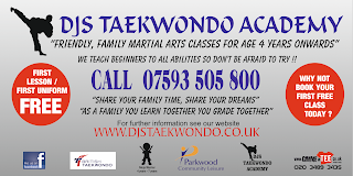 Djs Taekwondo Academy