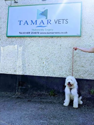 Tamar Vets Holsworthy